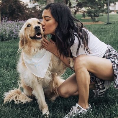 sexzoomix78006's profile picture. Can chat with the old and the young ones that is interested in my k9stuffs 😍😍🤤🤤😋🐕🐕