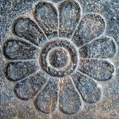 nobody (@f11nobody) 's Twitter Profile