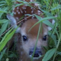starie ┆ ⌗ edtwt .𖥔 ݁ ˖ (@stari3e) 's Twitter Profile
