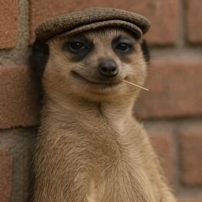 BayizaB78178's profile picture. 100