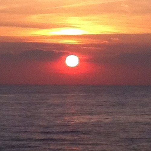 piooner12's profile picture. 