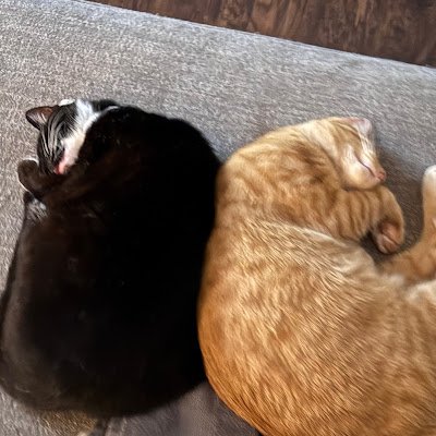ialva1378's profile picture. 