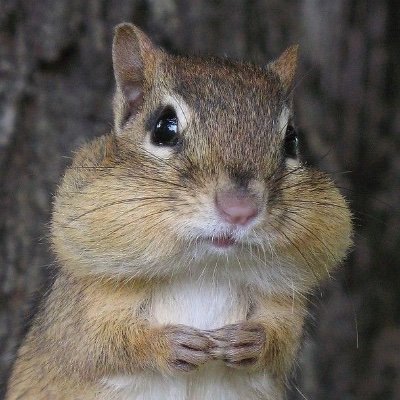 Hideyopassports's profile picture. 19