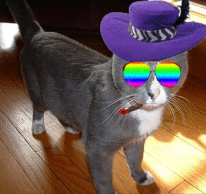 SkinnieCat