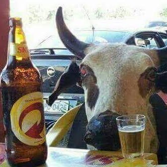 se eu te segui você é corno