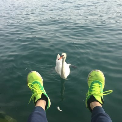zhipengha's profile picture. 