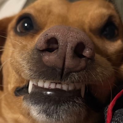 ll_isabella_ll's profile picture. todo dia falando várias merdas que vou me arrepender depois