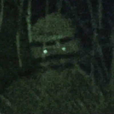 ViniKkj11's profile picture. 