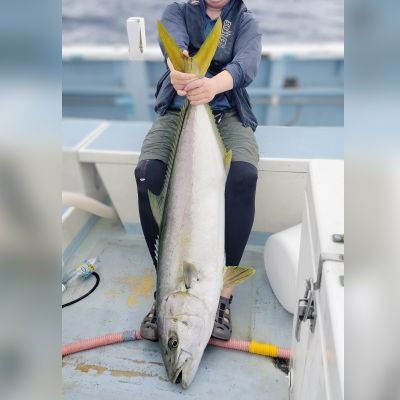 魚釣り🎣(船メイン)と、🍜🍚大好き←ツイートはごちゃ混ぜです、気にする人はご注意を。釣りは楽しく&美味しくがモットー、好きなだけで決して上手くはありません😂色んな船釣りに手を出しがちです。
無言フォローの際はすみません🙇♂️
