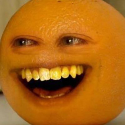 StansWorld69's profile picture. -Buffalo Bills -Buffalo Sabres -Political Party: Common Sense