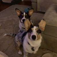 julie leach (@julieleach22308) 's Twitter Profile