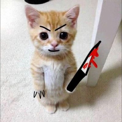 me encantan los felinos y las mariposas💗