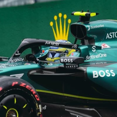 AMRLONSO's profile picture. 🇦🇺 @astonmartinf1 @alo_oficial just a fan 🙂