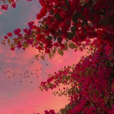 jxstbloomin's profile picture. talk a lot about books, films, and other stuff.