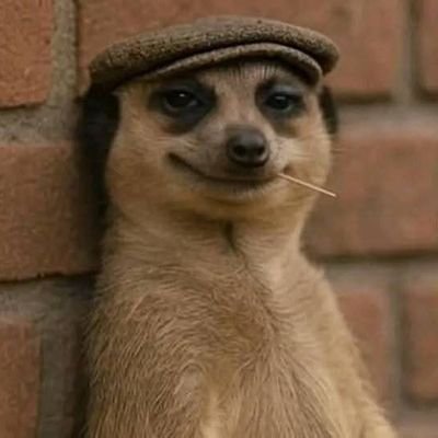 I used to love my old Twitter account, then everyone from work found me. This is my new account. 😀