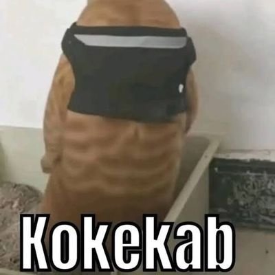 ArsyiMh's profile picture. 