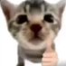 AaroOoOOon (@aaronthechil) Twitter profile photo AaroOoOOon (@aaronthechil) Twitter profile photo