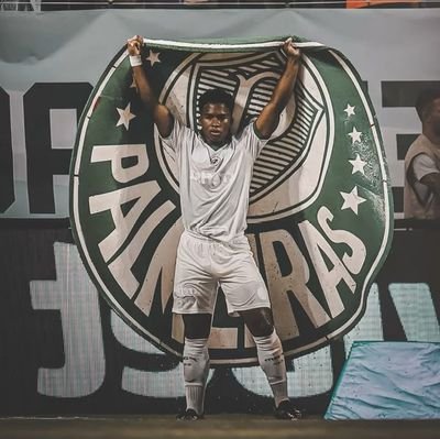 Jornalista 📽 / @palmeiras 💚
Apenas um Clubista consciente