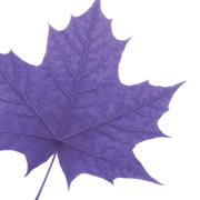 Laurier FGPS Profile