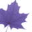 Lauriergrad's profile image