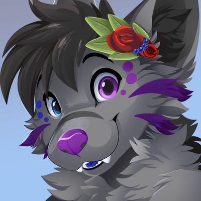 Kodaさんのプロフィール画像