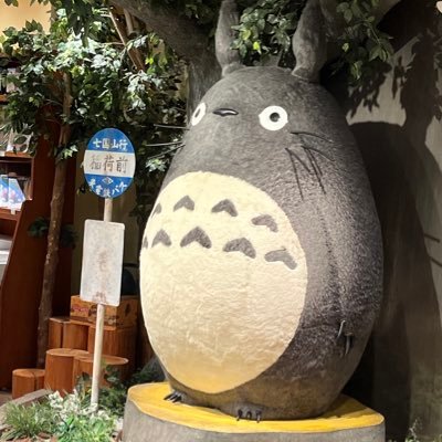 lisa855457's profile picture. 