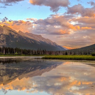 KOOKIES_KREME's profile picture. 