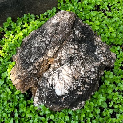 vuka369's profile picture. 