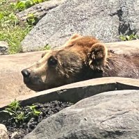 Larrysherbert1 (@larrysherb20264) 's Twitter Profile