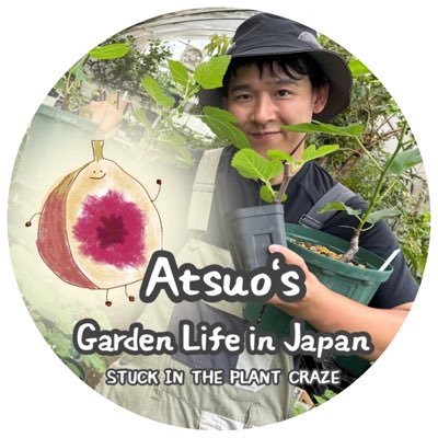 Hi! I’m Atsuo from Japan 🇯🇵 Sharing my fig-filled, tropical & variegated plant life 🌱 Home grower | YouTube gardener 📹 Jungle house vibes!