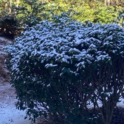 m_chinnasami's profile picture. 