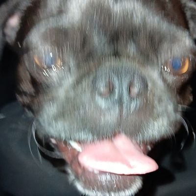 McaneSam's profile picture. 20 yrs old 😰 I've reached unc status 😭