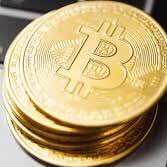 investment is the best and everyone can be involved.forest trading and bitcoins get money income tax daily #@DM for investment and learning more about it