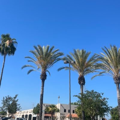 honeycash14's profile picture. 