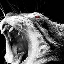 Jeff B - @JeffreyBey86739 - Twitter