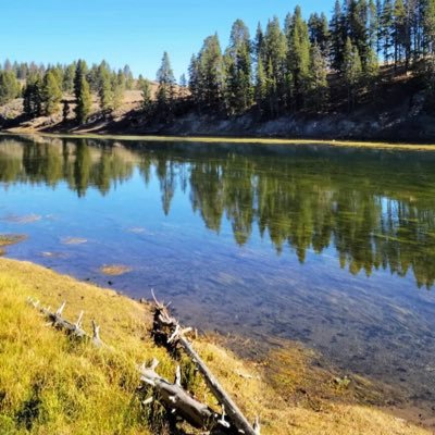 8_9king's profile picture. 🙏🏾✈️💵.....🏡