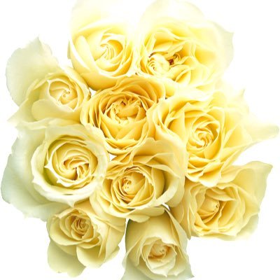 bambi4122's profile picture. おとなになってもだいすきだよ