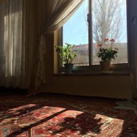 مُنى الدكروري 𓂆 (@monaeldkrory) 's Twitter Profile