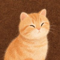 大猫🐾 (@0xapon) 's Twitter Profile