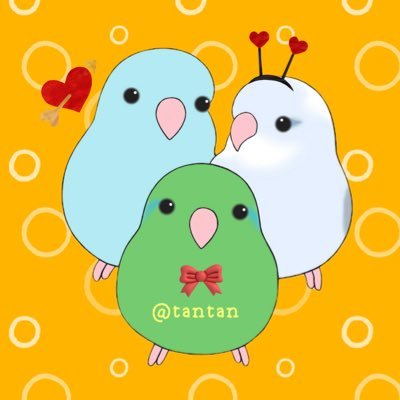 tantan🐤さんのプロフィール画像