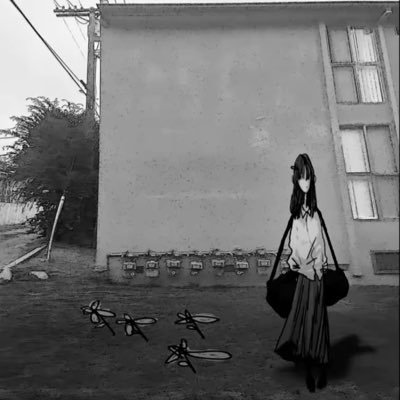 catinsurancee's profile picture. jp white