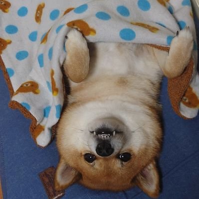 ゆづる（ゆずる）さんのプロフィール画像