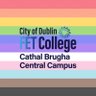 CathalBrughaFET's profile picture. College of Further Education with 2 campuses in Dublin 1 offering #PLC and #BTEI #QQI courses at Levels 4, 5 & 6 and Traineeships