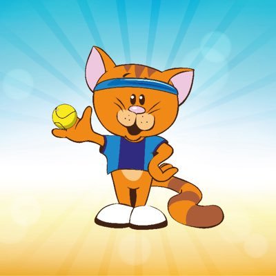 PE/School Sport • Fundamentals (Cool Cats) • Holiday Clubs • Football Masterclass • Birthday Parties