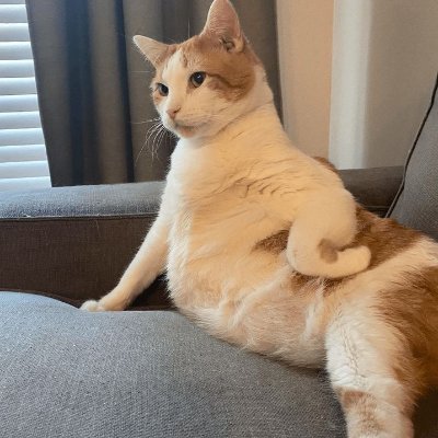 spotlesspurpple's profile picture. Literally freak-minded