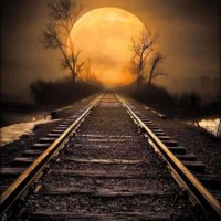 Төмөр (@tumur9502) 's Twitter Profile