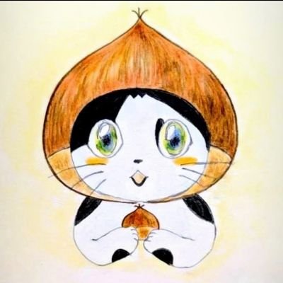 安財 ちずかさんのプロフィール画像