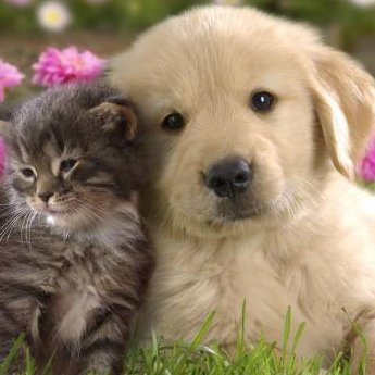 abbywq57's profile picture. gnoma