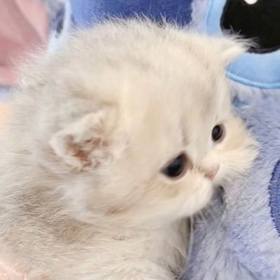 mybabi_97's profile picture. ( ♡ ) safe zone @pavelphoom