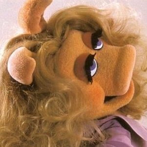 *i turn to you and the drooping eyes on springs attached to the novelty glasses i got from party city swing out and hit you in the face*
